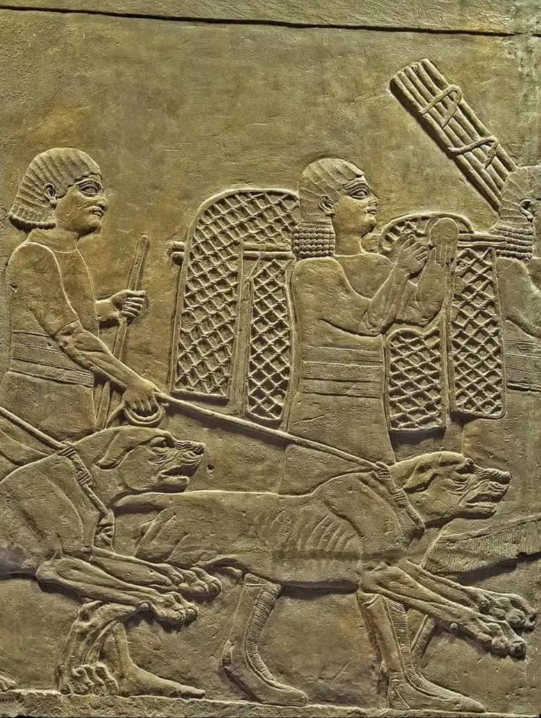  br> br>74 公元前645-640年,亚述浮雕描绘了一