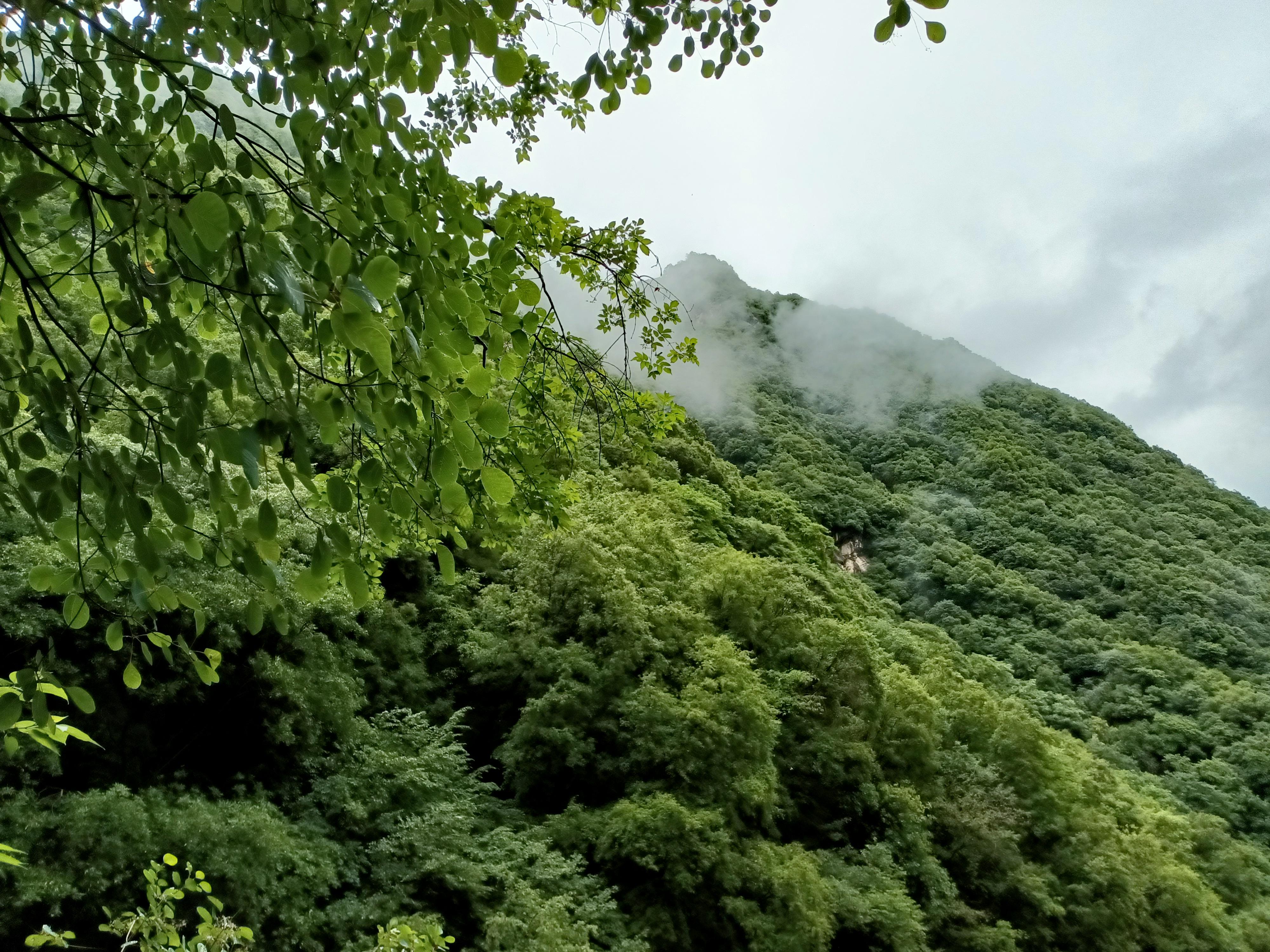 游太平山南北朝孔稚珪图片