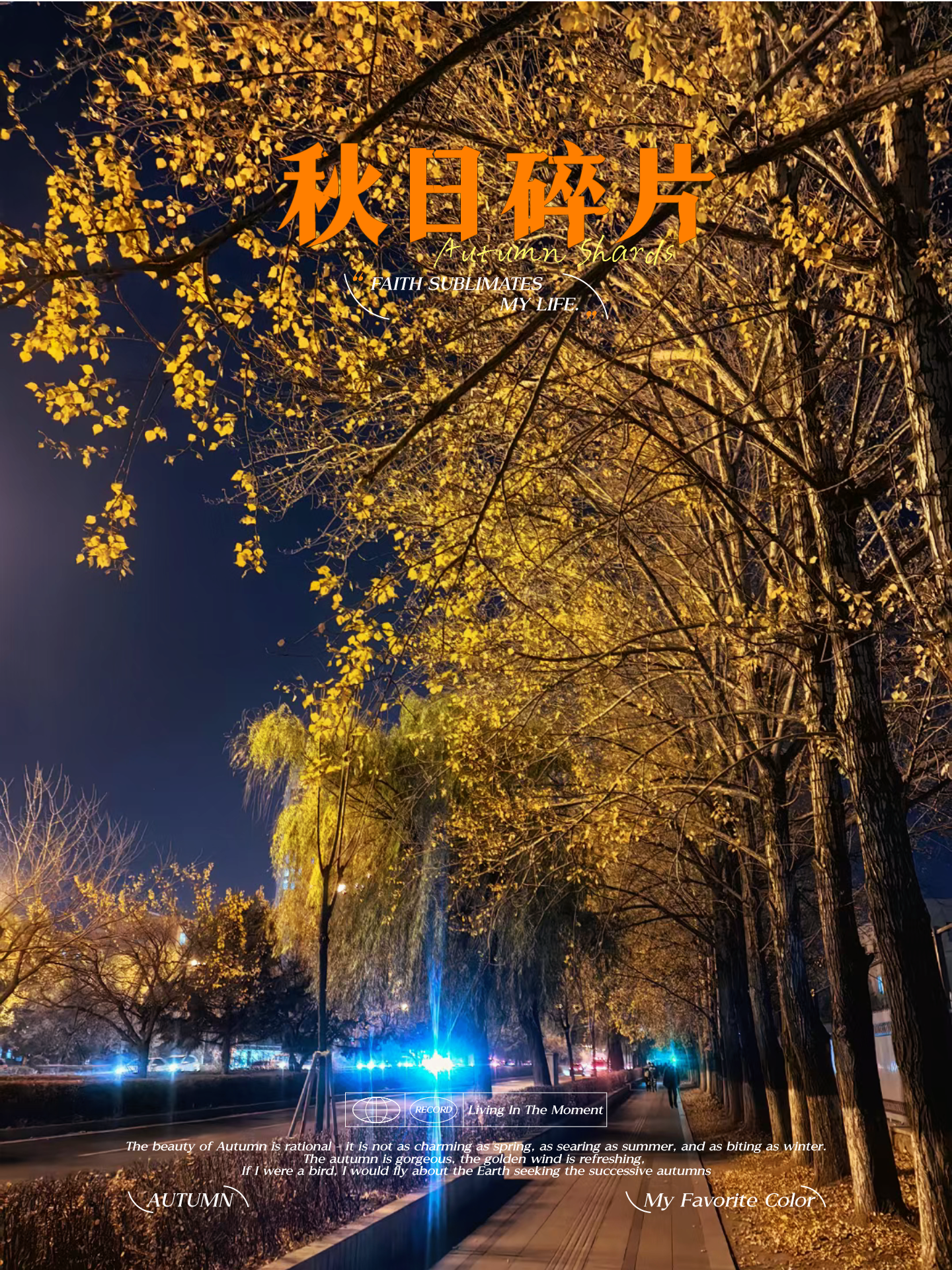 爱吃大鱿鱼 的想法: 深秋夜色
