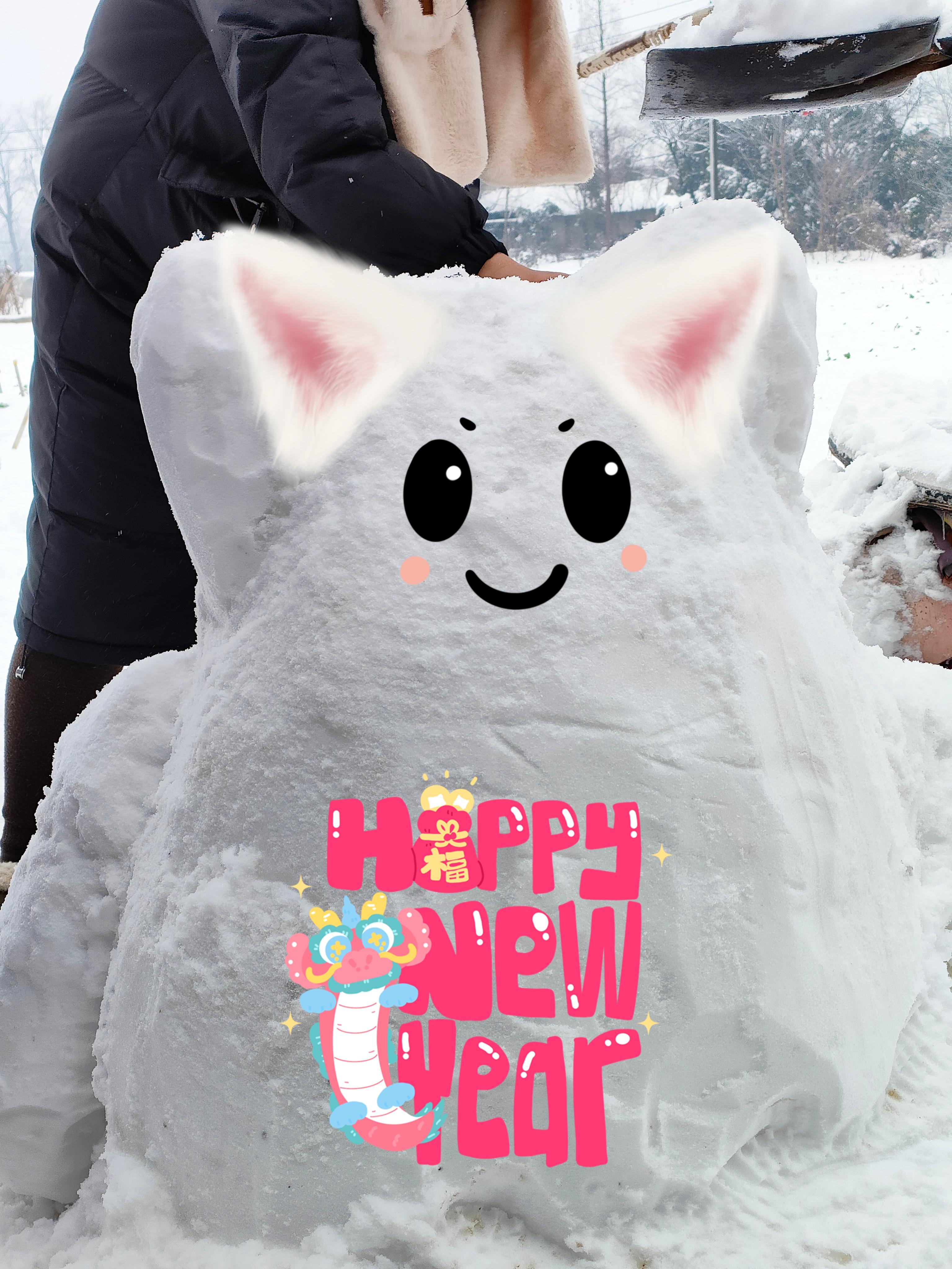 努力变强的小胡 的想法: 看我堆的雪人,好看吗?