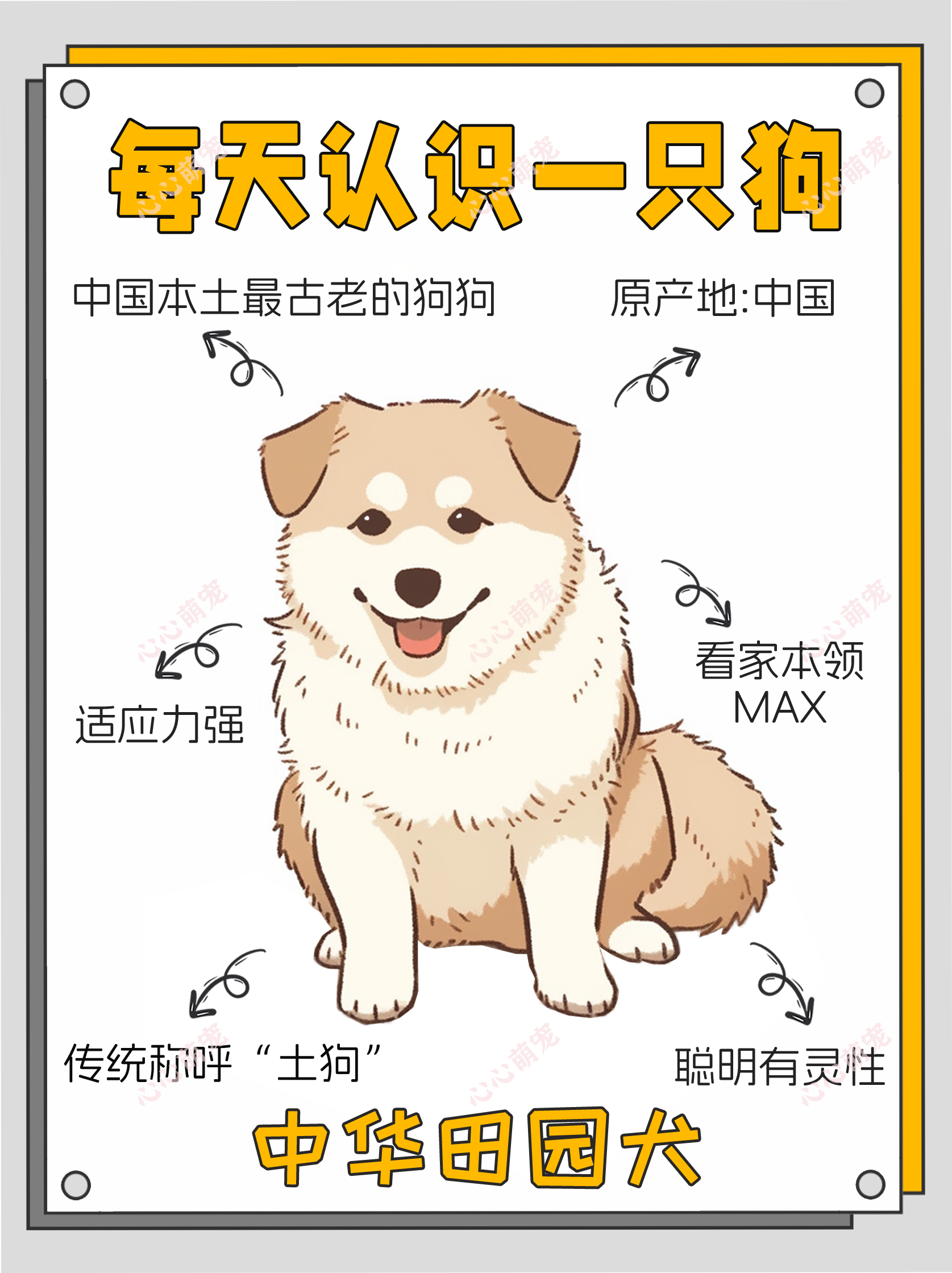 中华田园犬卡通画图片