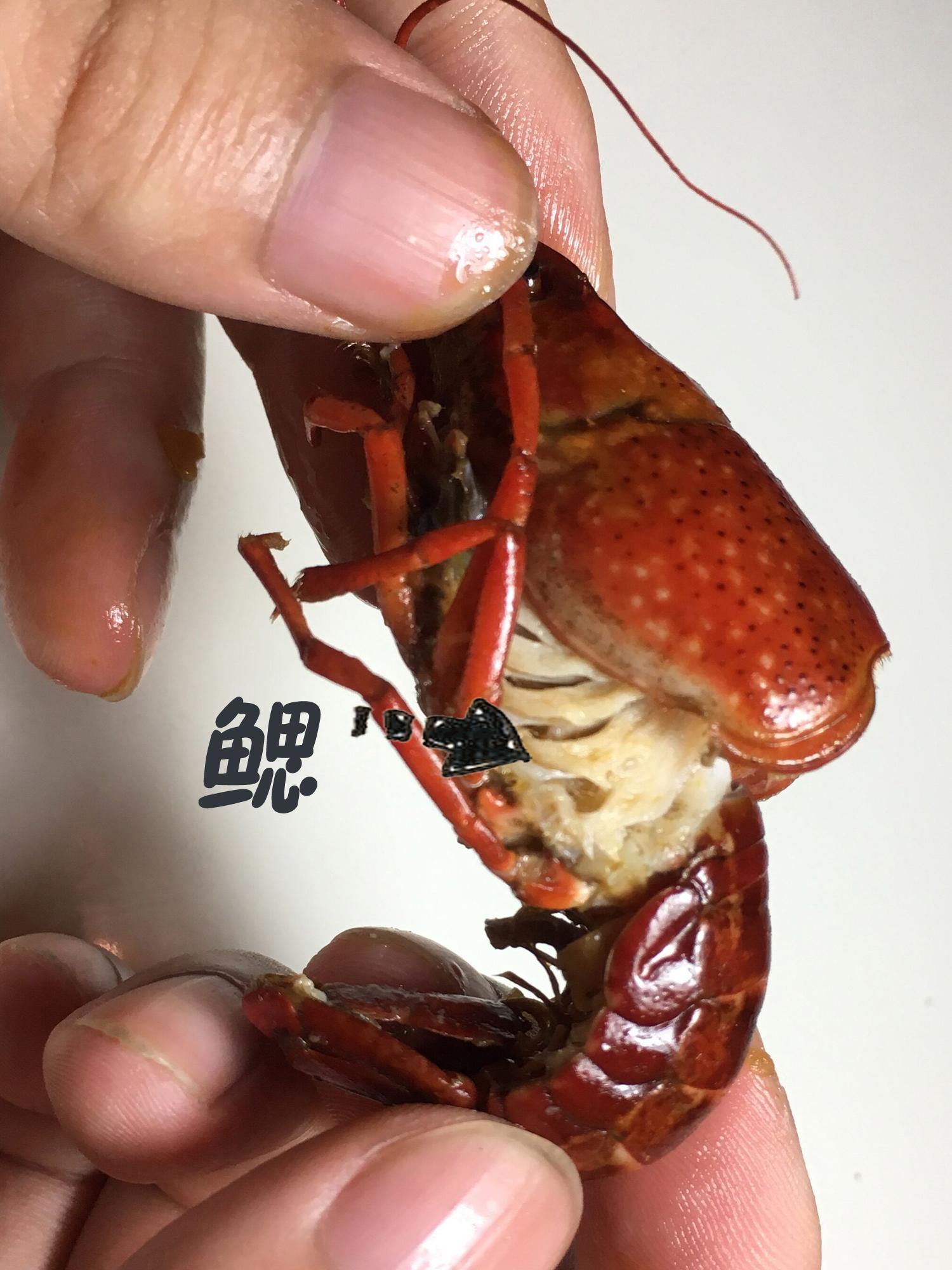 重庆人一天能吃5000斤小龙虾！夏天的第一顿小龙虾，来这里准没错_老甘