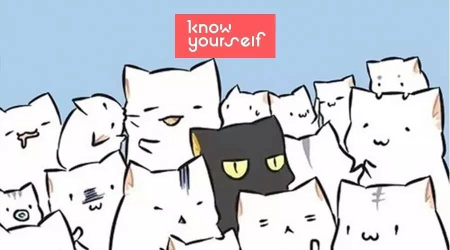 研究:什么是内向者专属的“社交宿醉”?|一份写给内向者的社交指南 研究:什么是内向者专属的“社交宿醉”?|一份写给内向者的社交指南