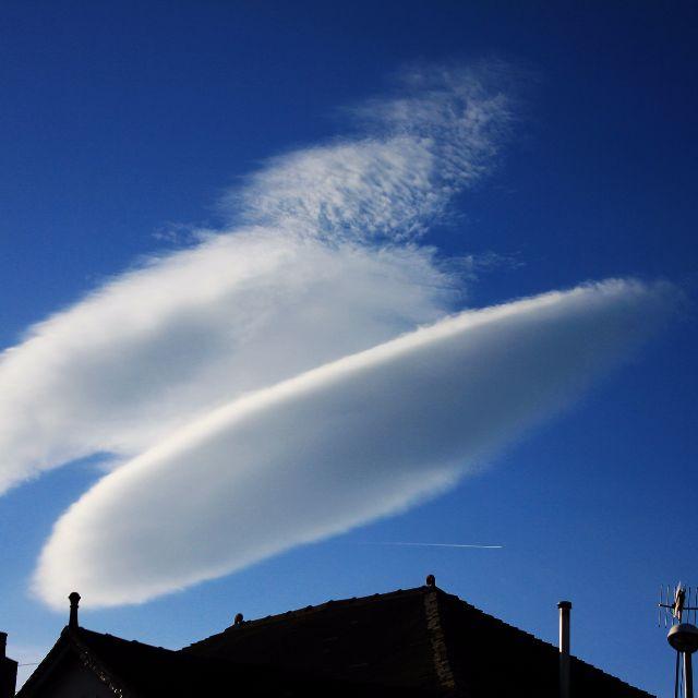 一朵伪装成各种奇怪样子的云,喜欢看你惊讶的脸