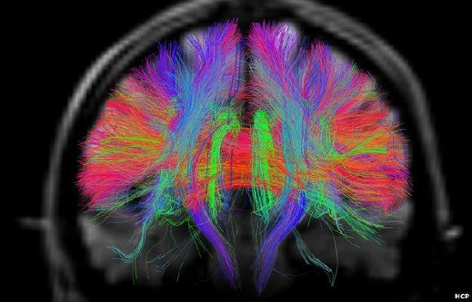 可以有几个意识体?