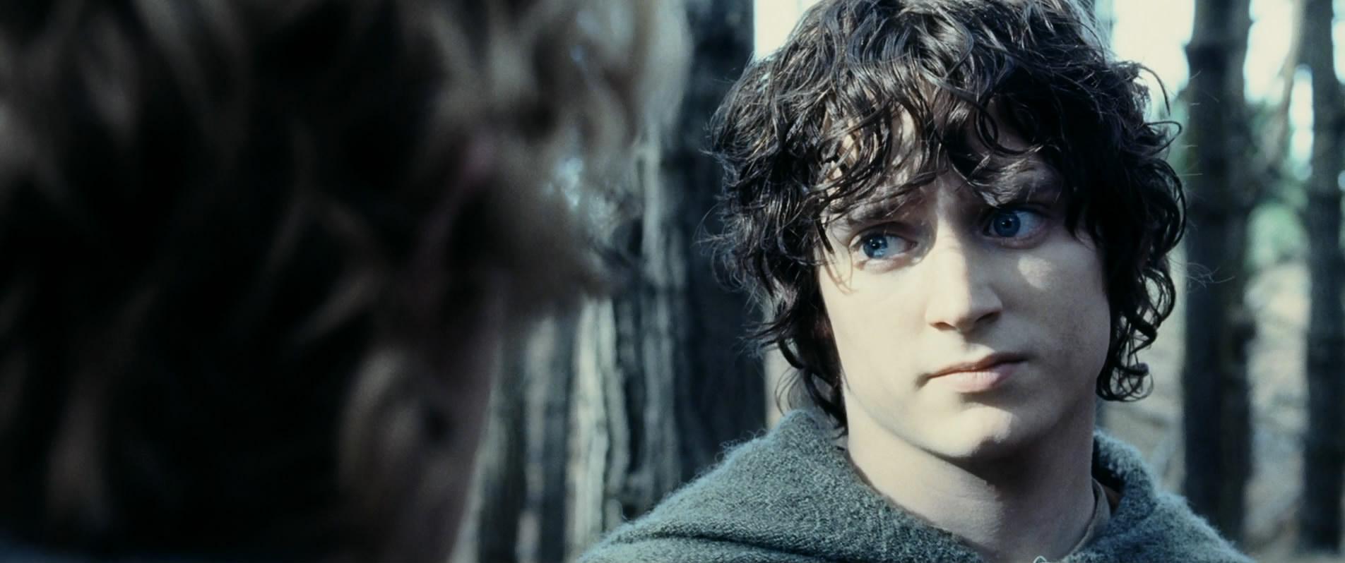 没有山姆,弗罗多就走不远.