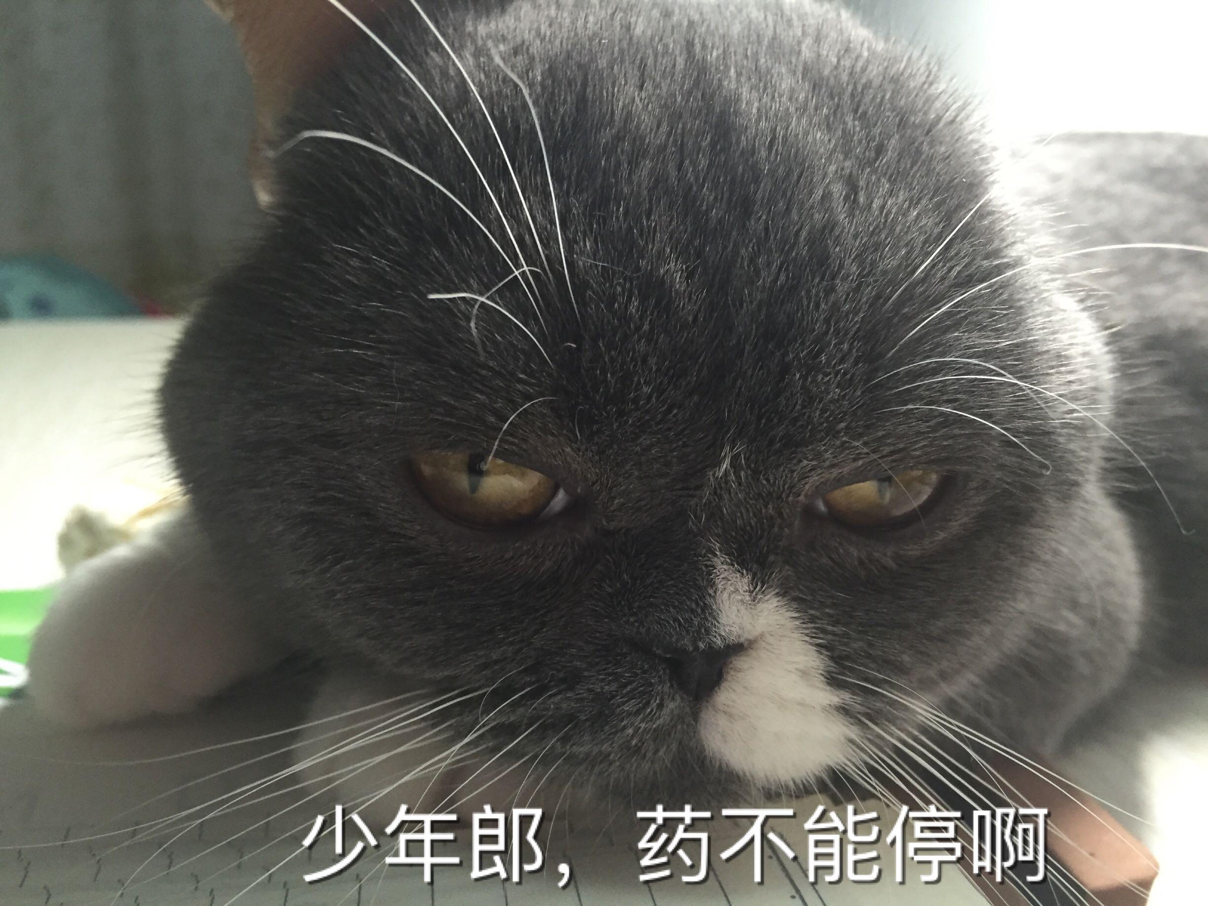 19a8147209b6c27ae29a65f2d111eda3_r.jpg