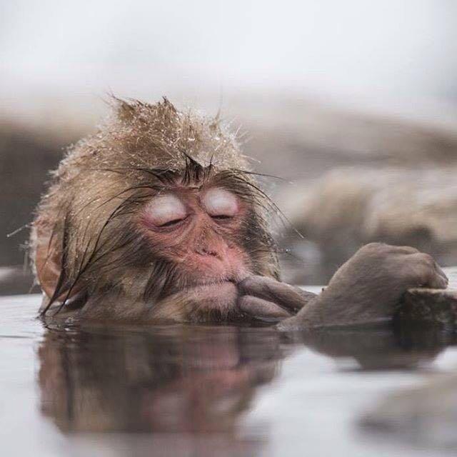 一个人在日本读语言学校感觉好无助,想放弃,看