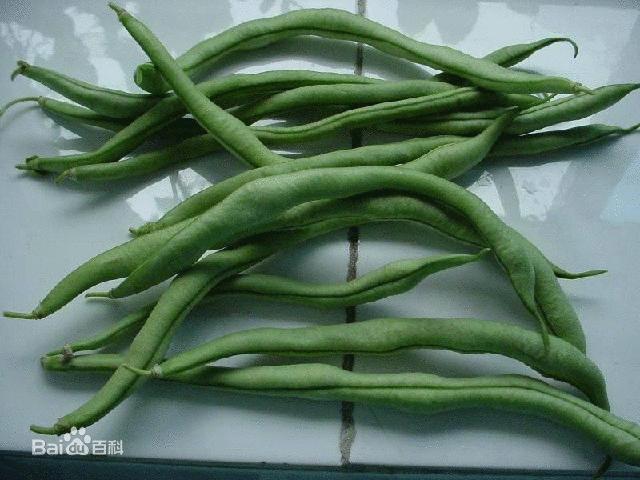 各种豆角都怎么叫? - 知乎