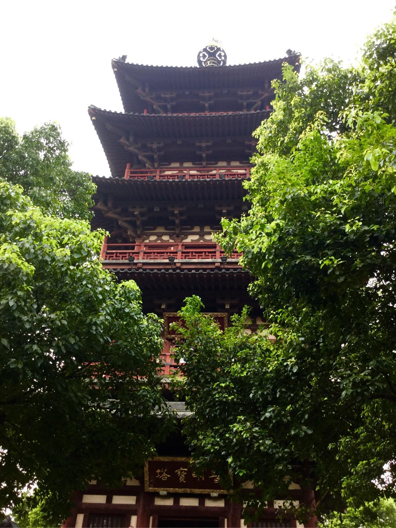 今天暑假去哪里旅游较好?最好是国内的?