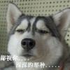 堂本光一能有多好看 知乎 堂本光一能有多好看 知乎