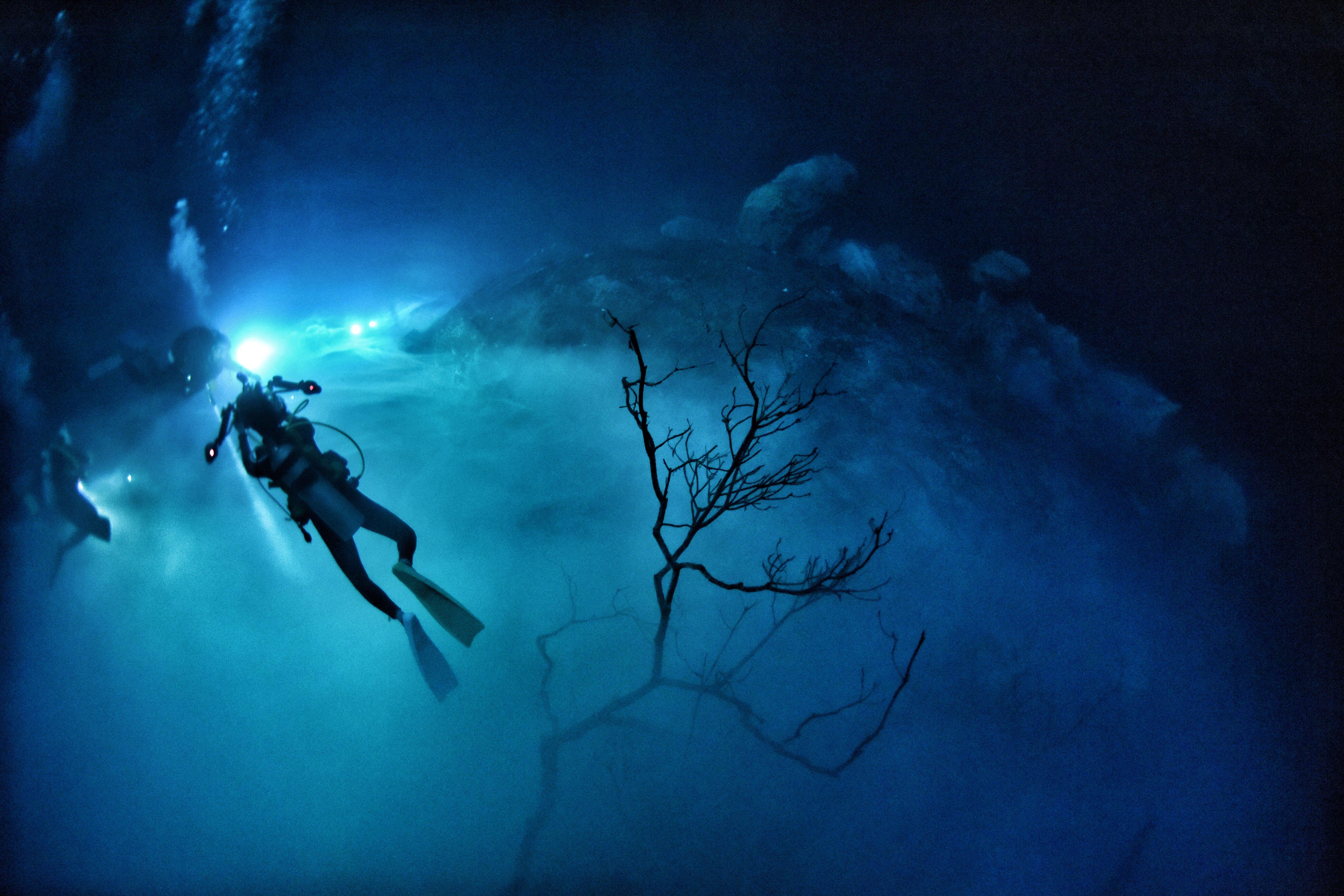 唯美的海底世界图片壁纸 -桌面天下（Desktx.com）