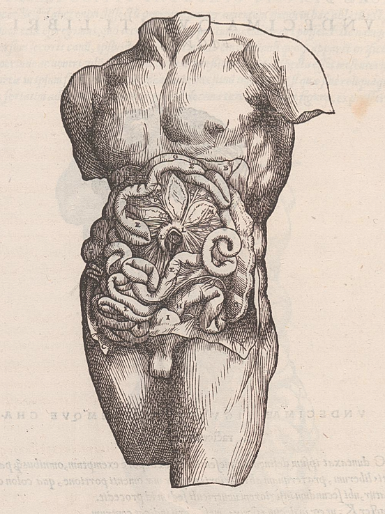 国外素描的学习步骤是怎么样的?