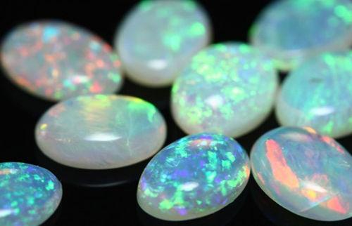 澳大利亚有什么特产好买的?