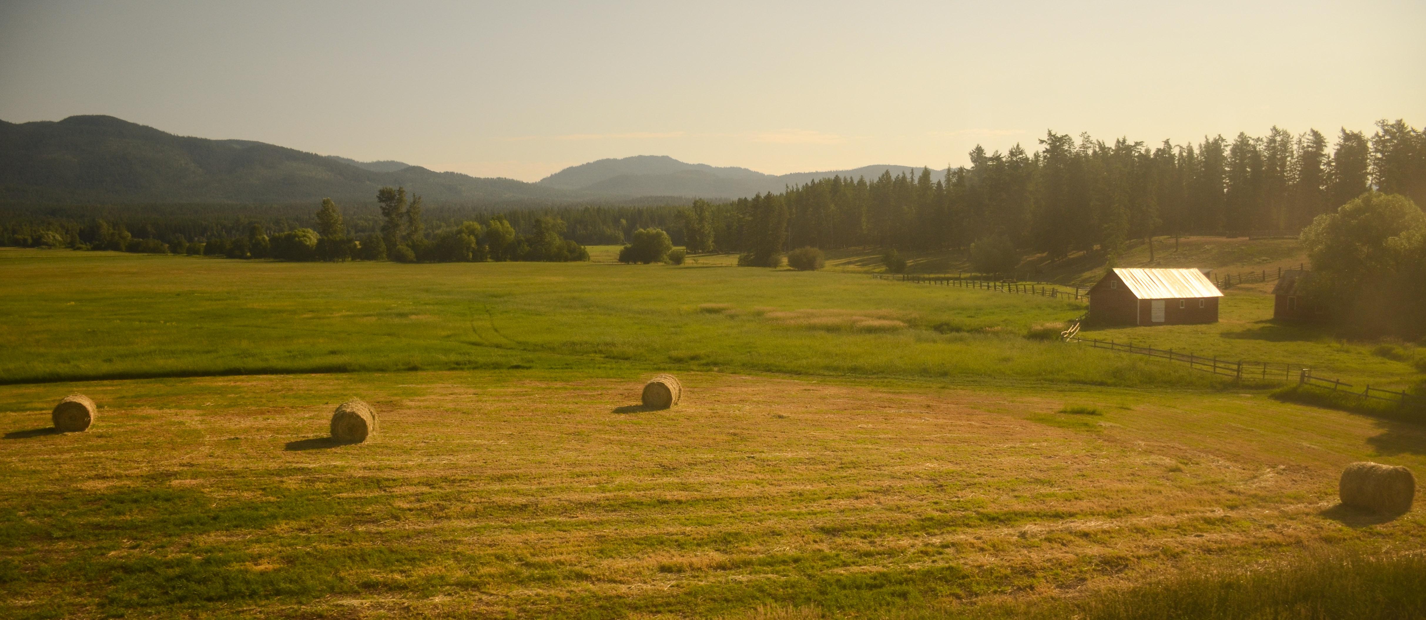 从东部到西部的碰撞雄鹿客场挑战快船上演攻防大战