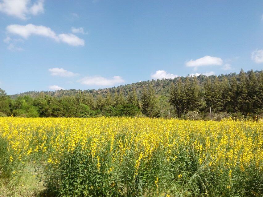 泰国有哪些不为人知却好玩的地方? - 知乎用户