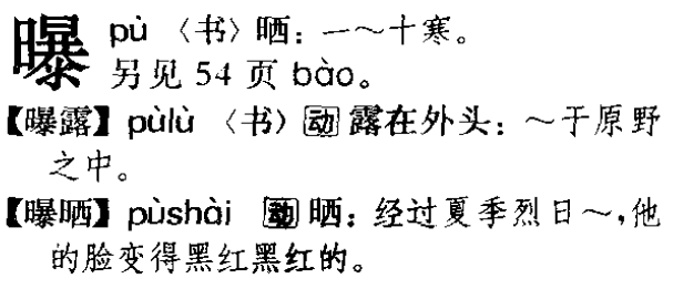 「曝光」中「曝」的读音是「bào」还是「pù」?