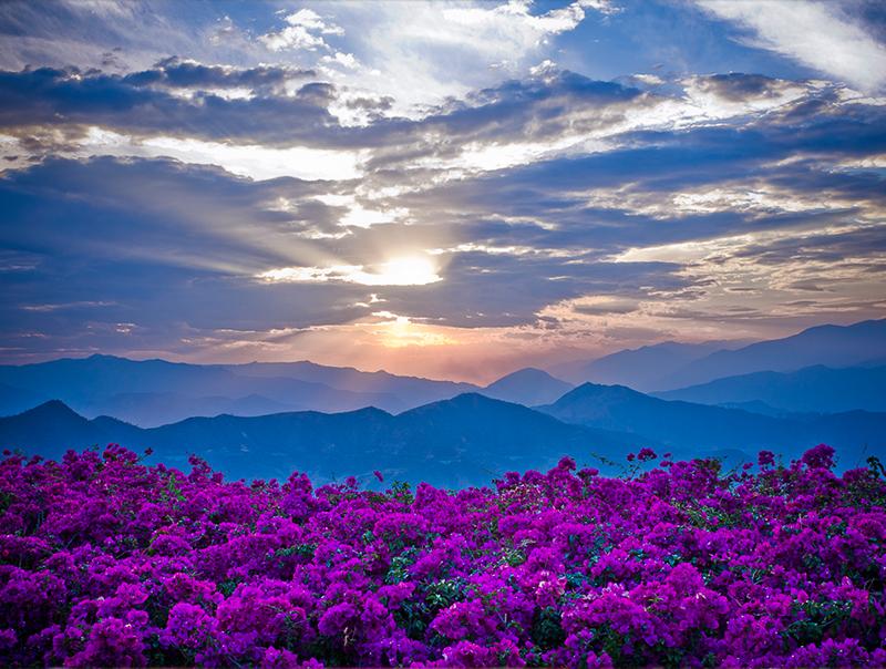 攀枝花,绽放的旅游之花