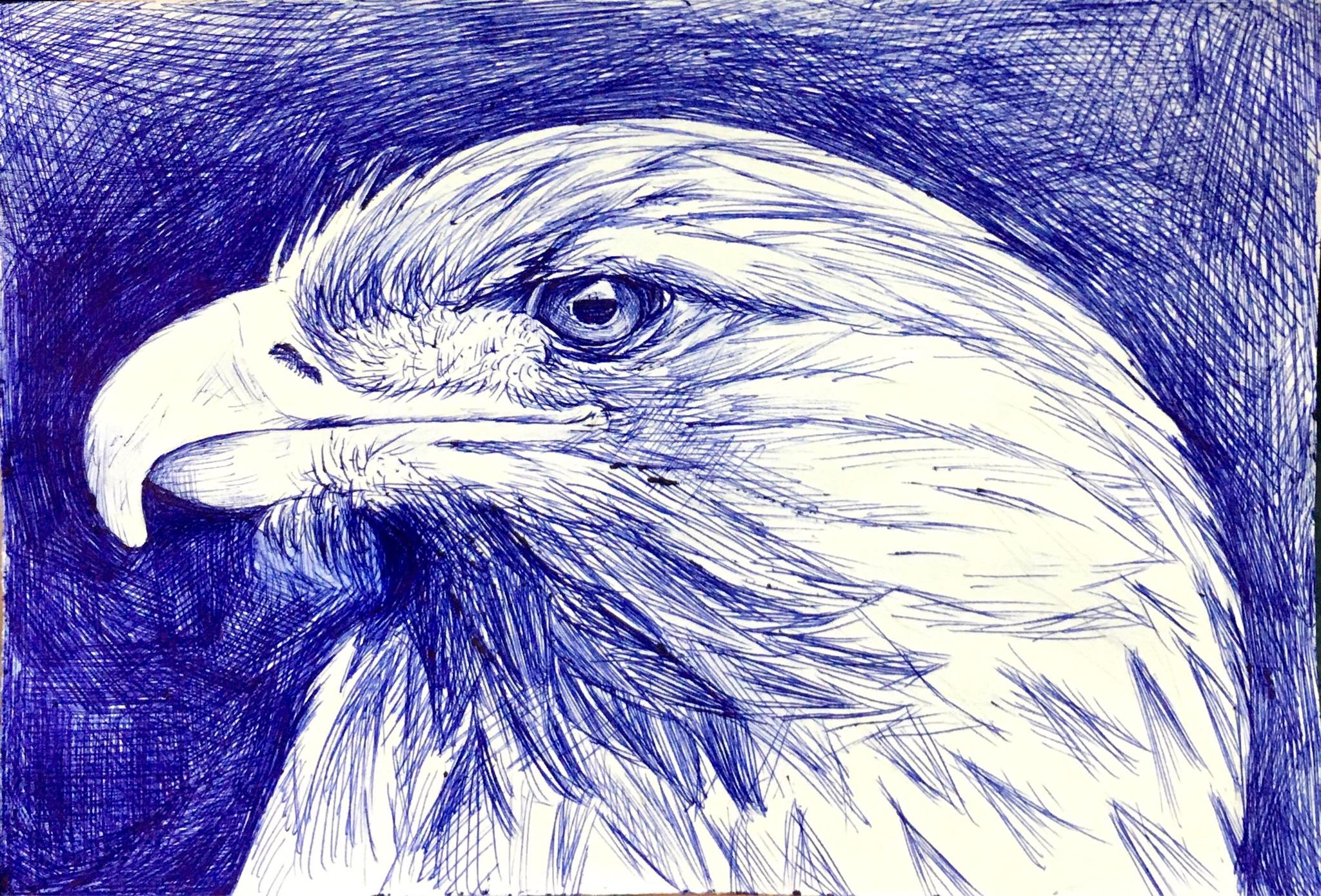 会画圆珠笔画有什么用?