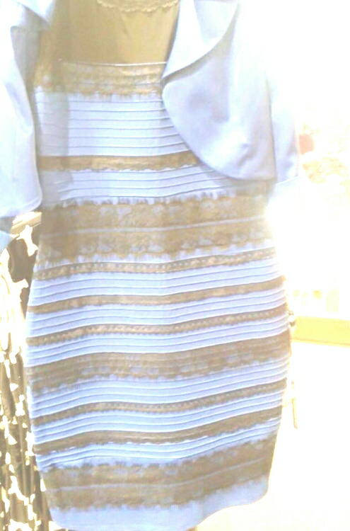 同一条裙子 为什么有人看成蓝黑色 有人看成白