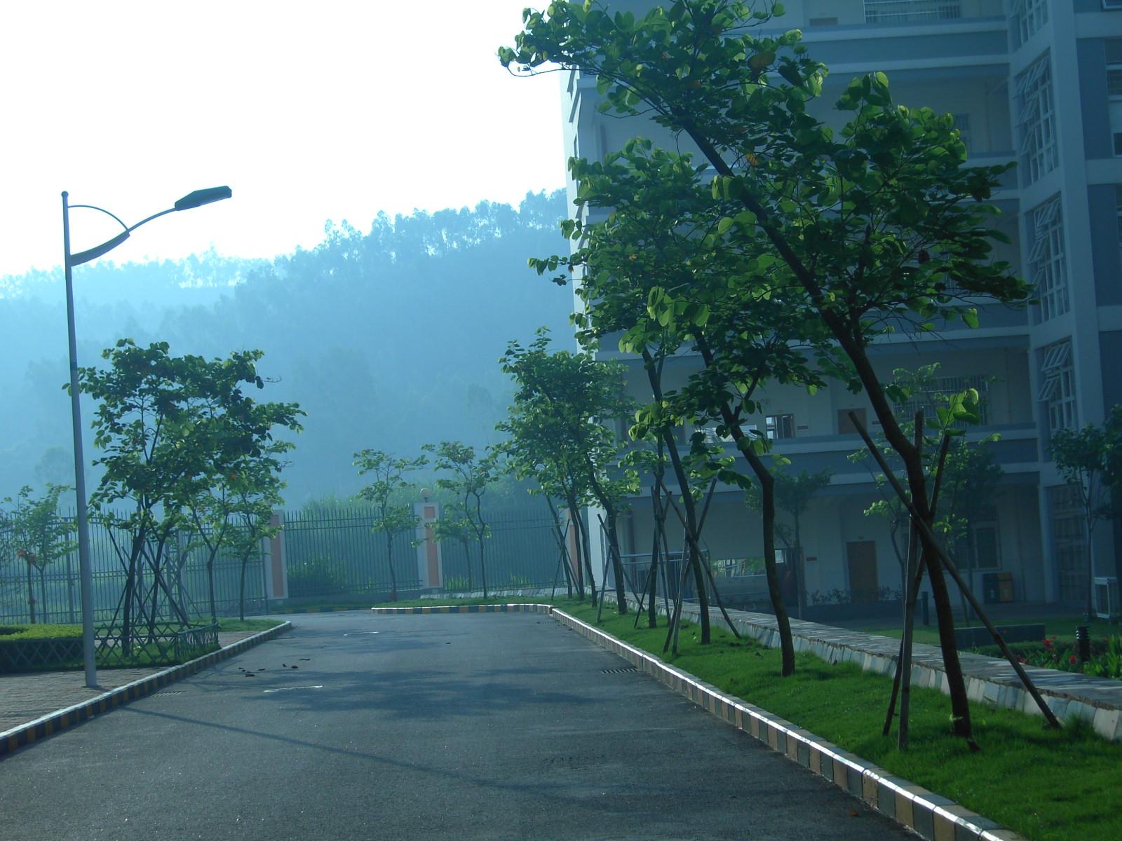 在深圳教苑中学读书是一种什么样的体验? - X