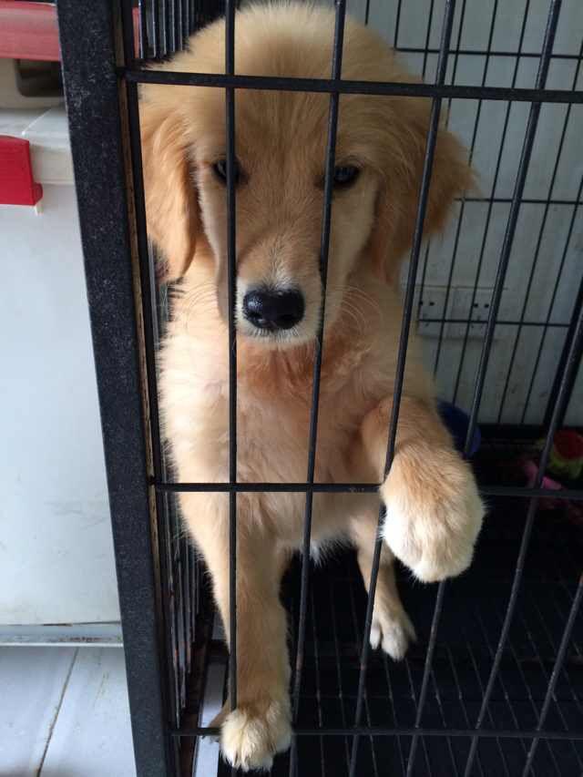 男朋友从香港带来两盒止痛膏给身体健全的女朋