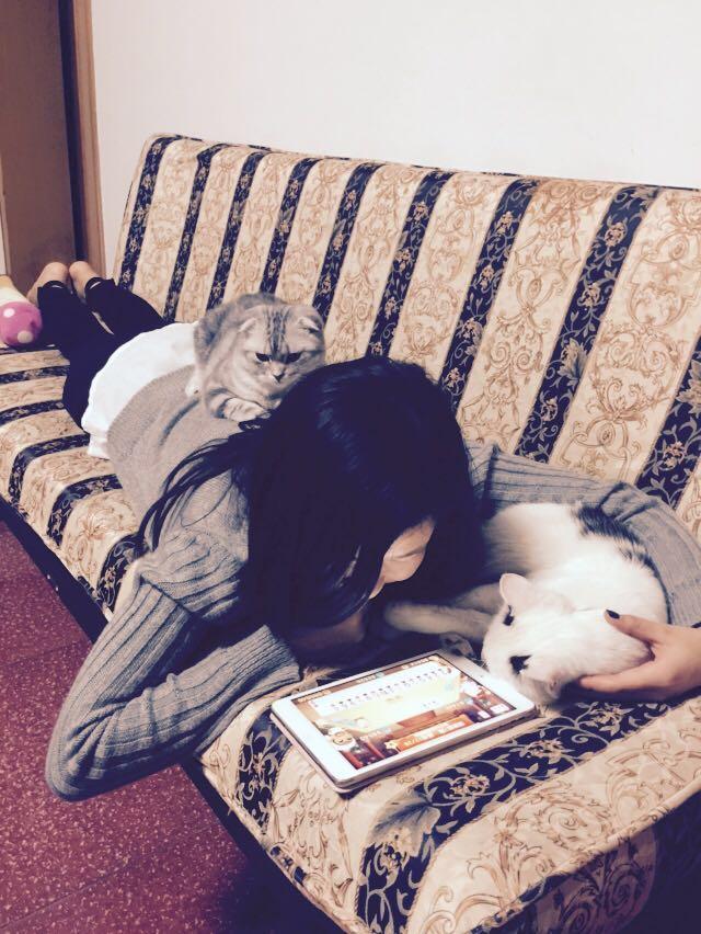 有一只超黏人的猫咪是什么样的体验?