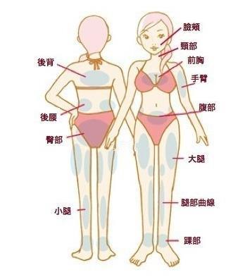 局部减肥真的不存在吗 局部减肥真的是伪科学吗 瘦脸 瘦腿 瘦臀 瘦腹 究竟该怎么办 知乎