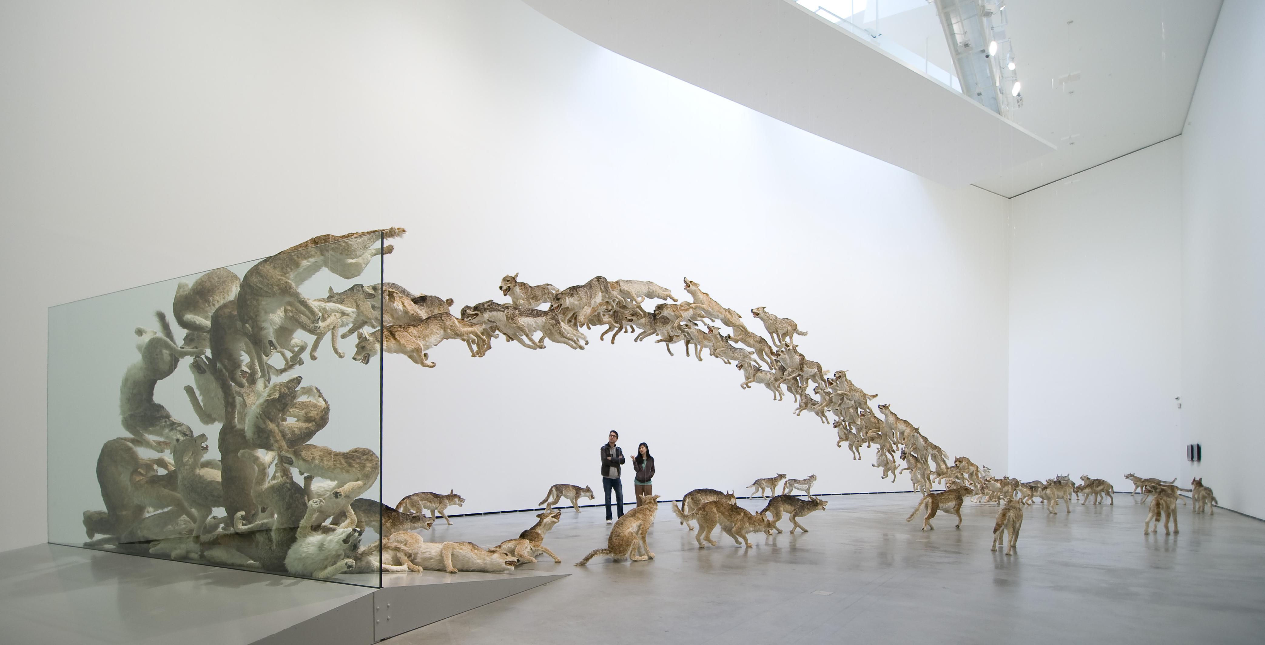 当代装置艺术有哪些流派各有哪些代表作