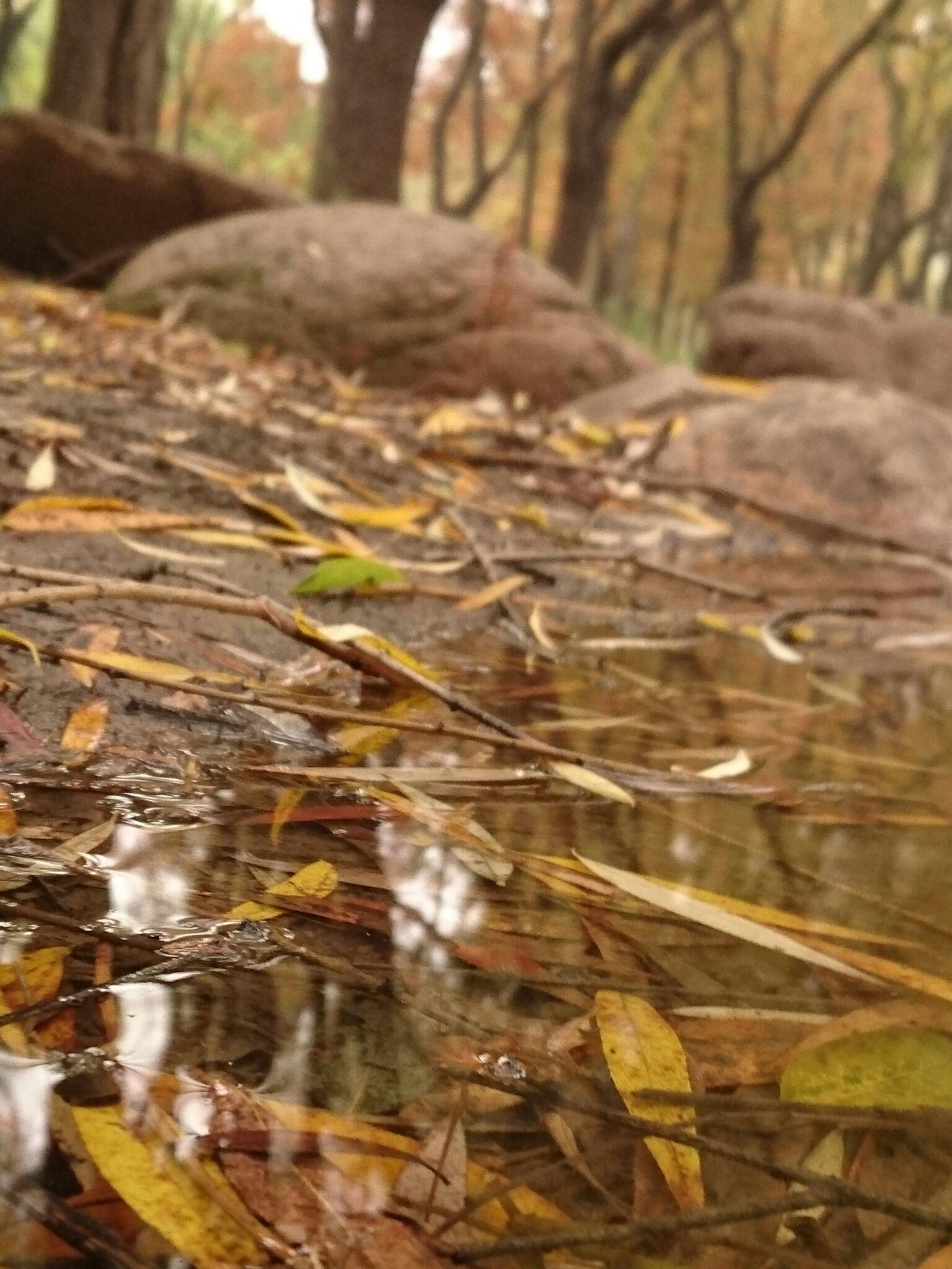 为什么有人会强力推荐Sony手机? - 孙鹏超的回