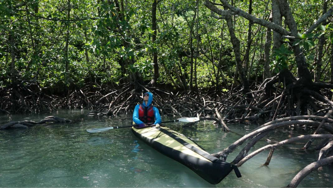 你所经历过的最恐怖惊悚的真实事件是什么? -