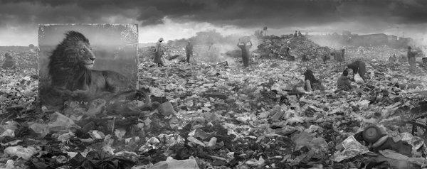 你被哪个当代艺术作品感动过或者震撼过? - 王