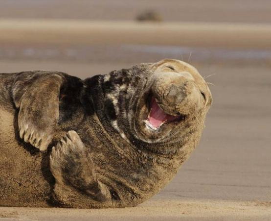 自己有工厂,女装,现在想从淘宝卖货,从哪里可以