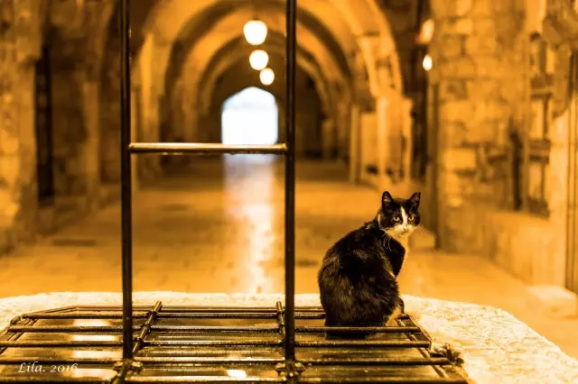 为什么耶路撒冷是三教圣城?