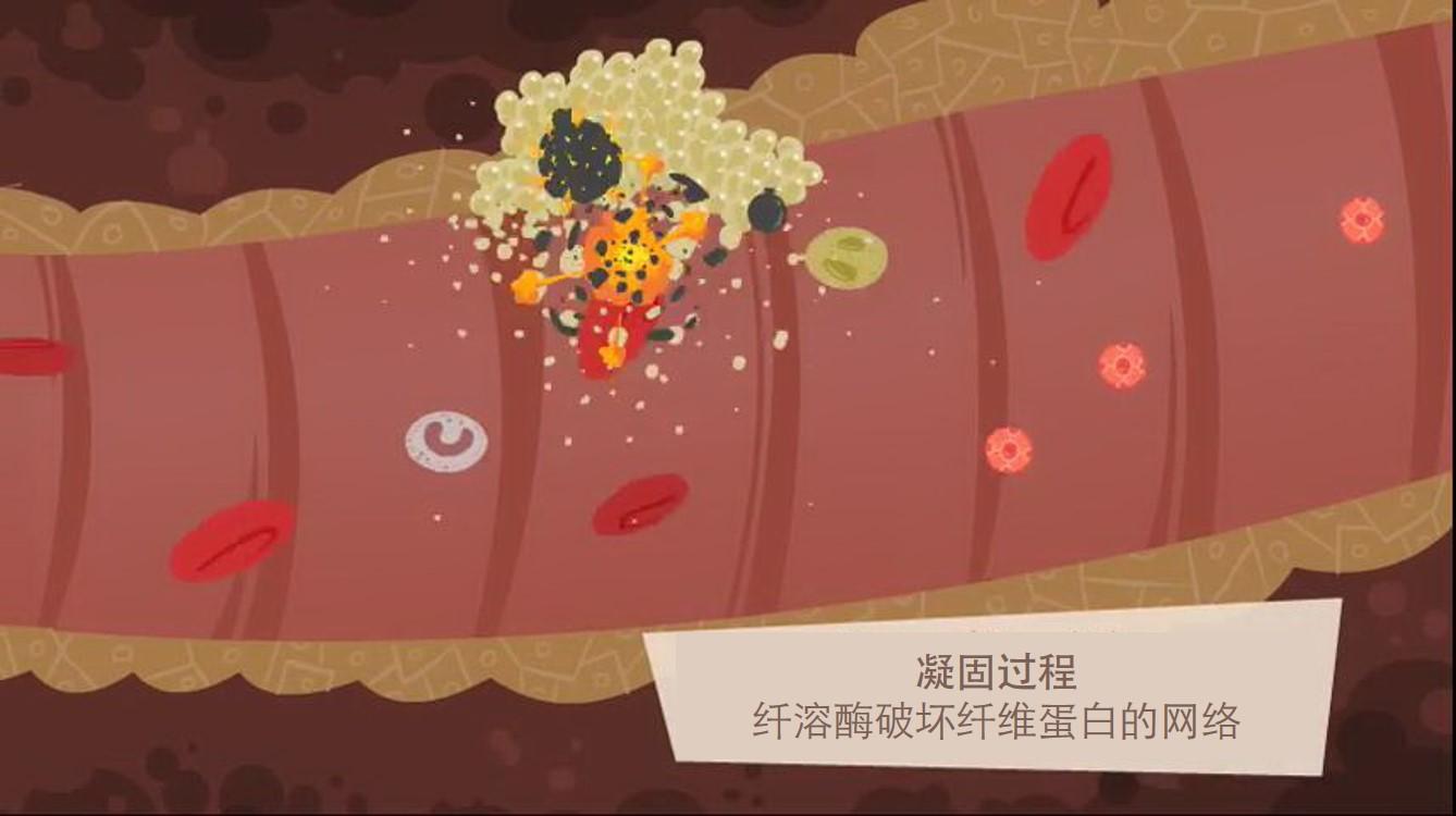 血液为什么会凝固? - 知乎
