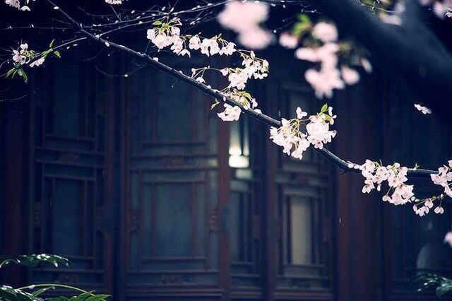 苹果有什么自己出题自己做的软件?