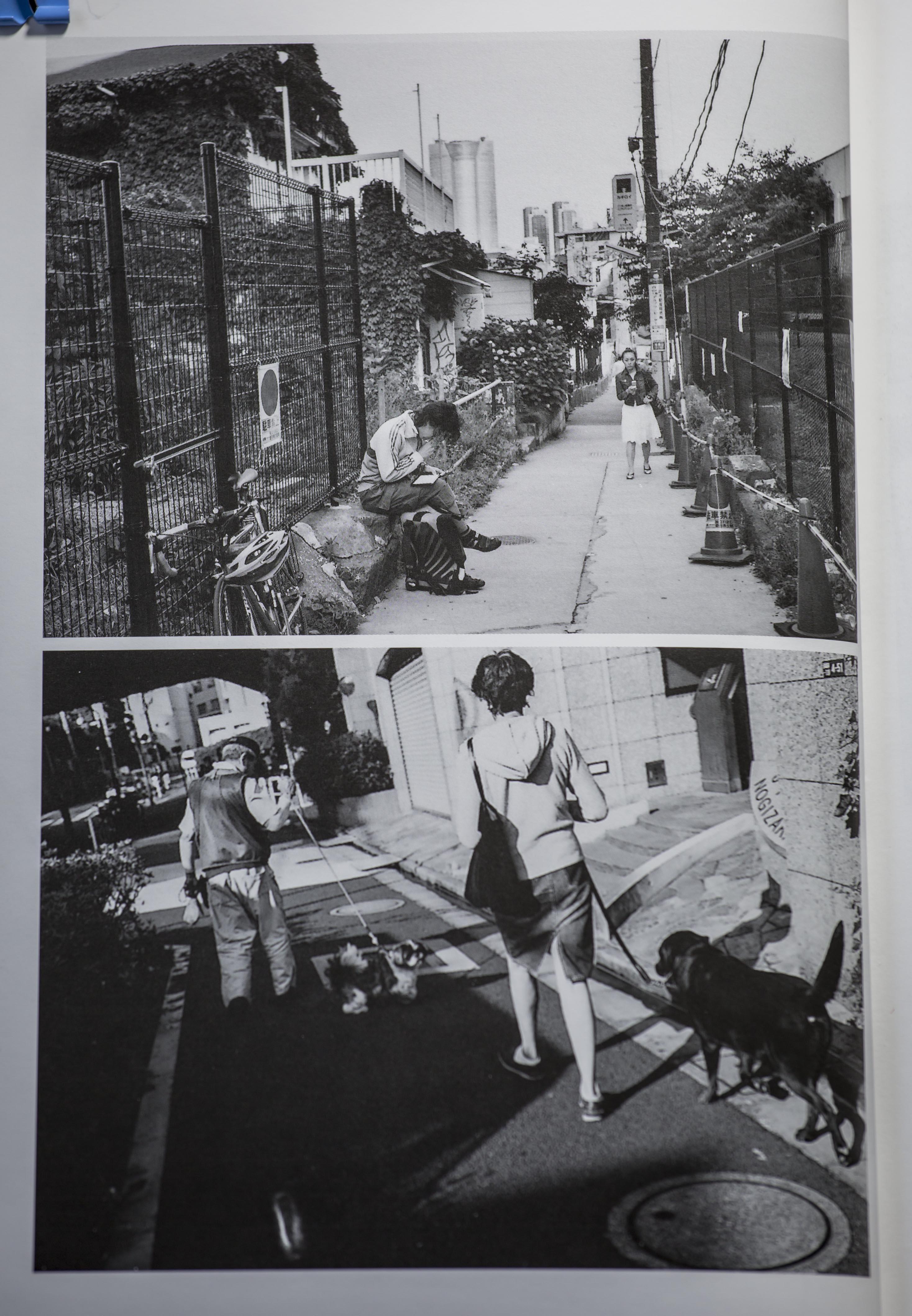 说这么一段话是为了引出 荒木经惟 是一个关怀 城市 ,尊重生命,关注