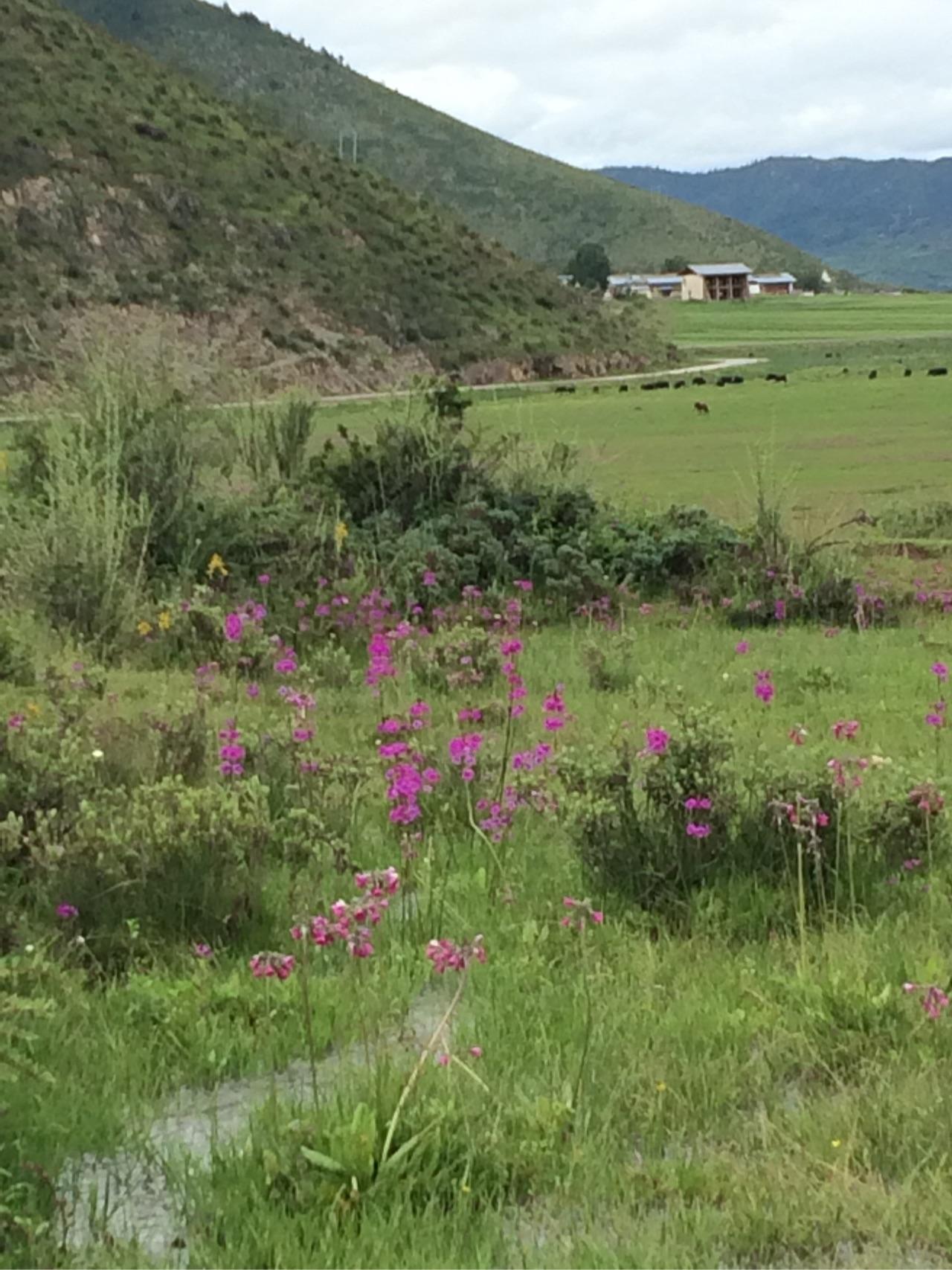 你手机里有什么好看的图片? - 樱桃子的回答