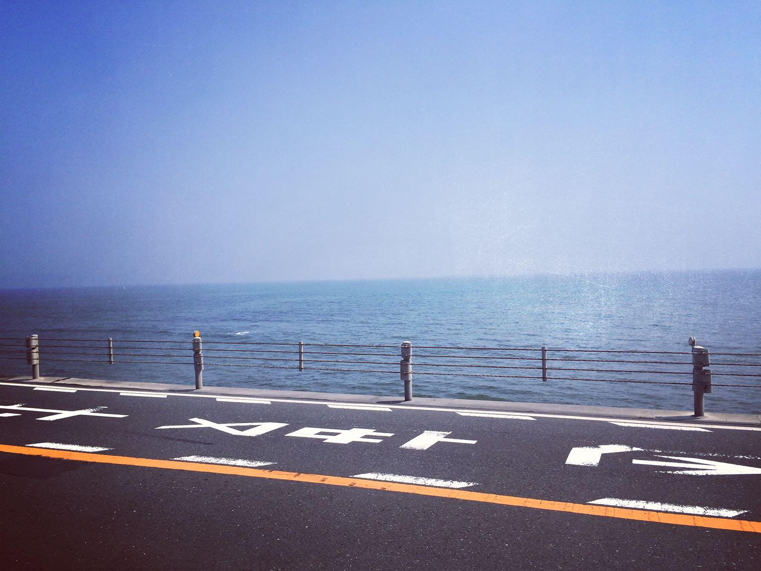 去日本留学的你后悔了吗? - 听风的回答