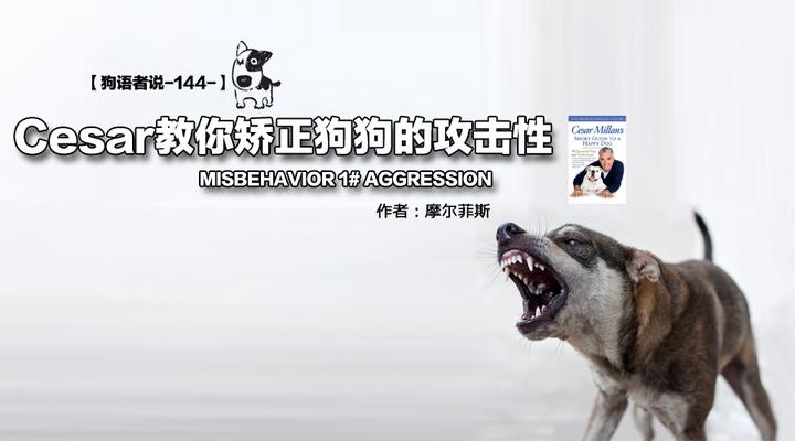 狗语者说 144 Cesar教你矫正狗狗的攻击性 知乎 狗语者说 144 Cesar教你矫正狗狗的攻击性 知乎