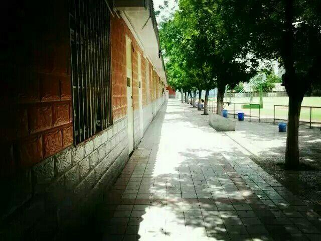 在兰州交大附中就读是什么样的体验?