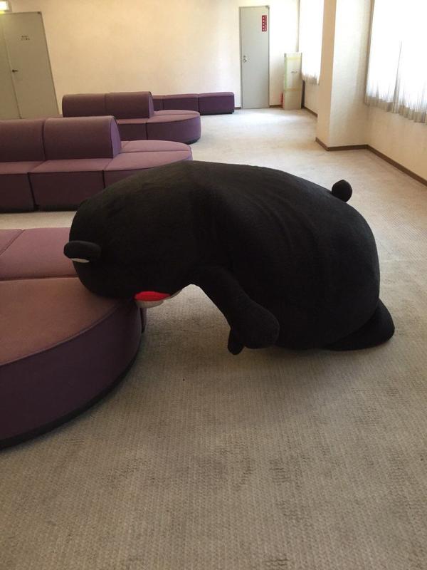 想吃火锅的时候 半夜做噩梦惊醒的时候 急性肠胃炎疼到身体蜷曲的时候