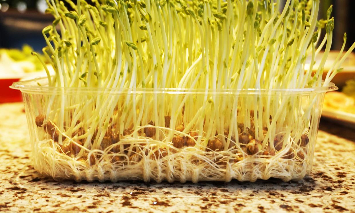 成都哪家火锅比较正宗好吃? - 成都美食 - 知乎