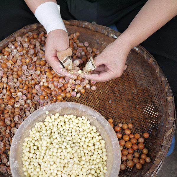 我们不只吃牛排我们还吃鸡头米