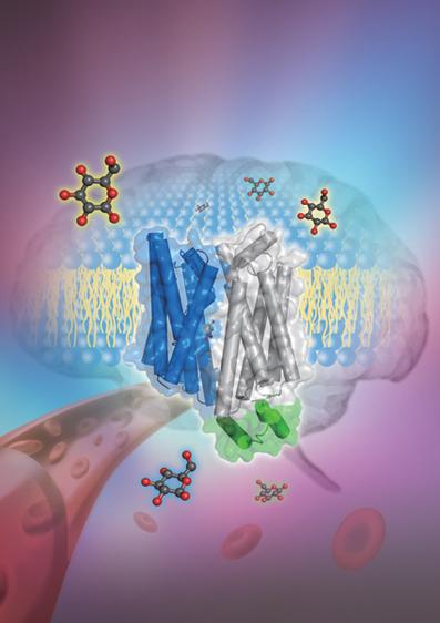 如何评价清华大学颜宁研究团队的科研成果? -