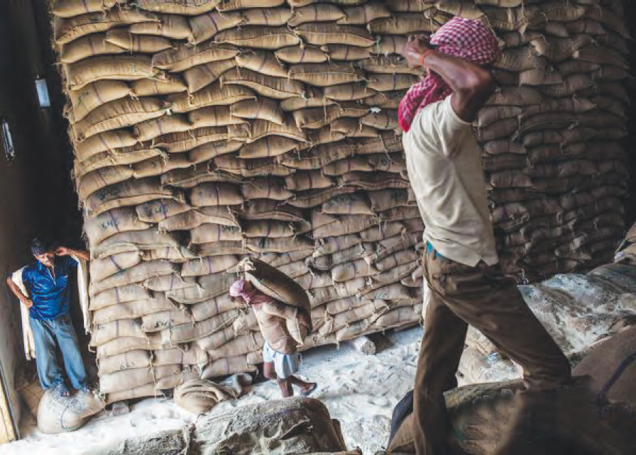 乌克兰粮食王子:粮食,下一场战争的大规模杀伤性武器
