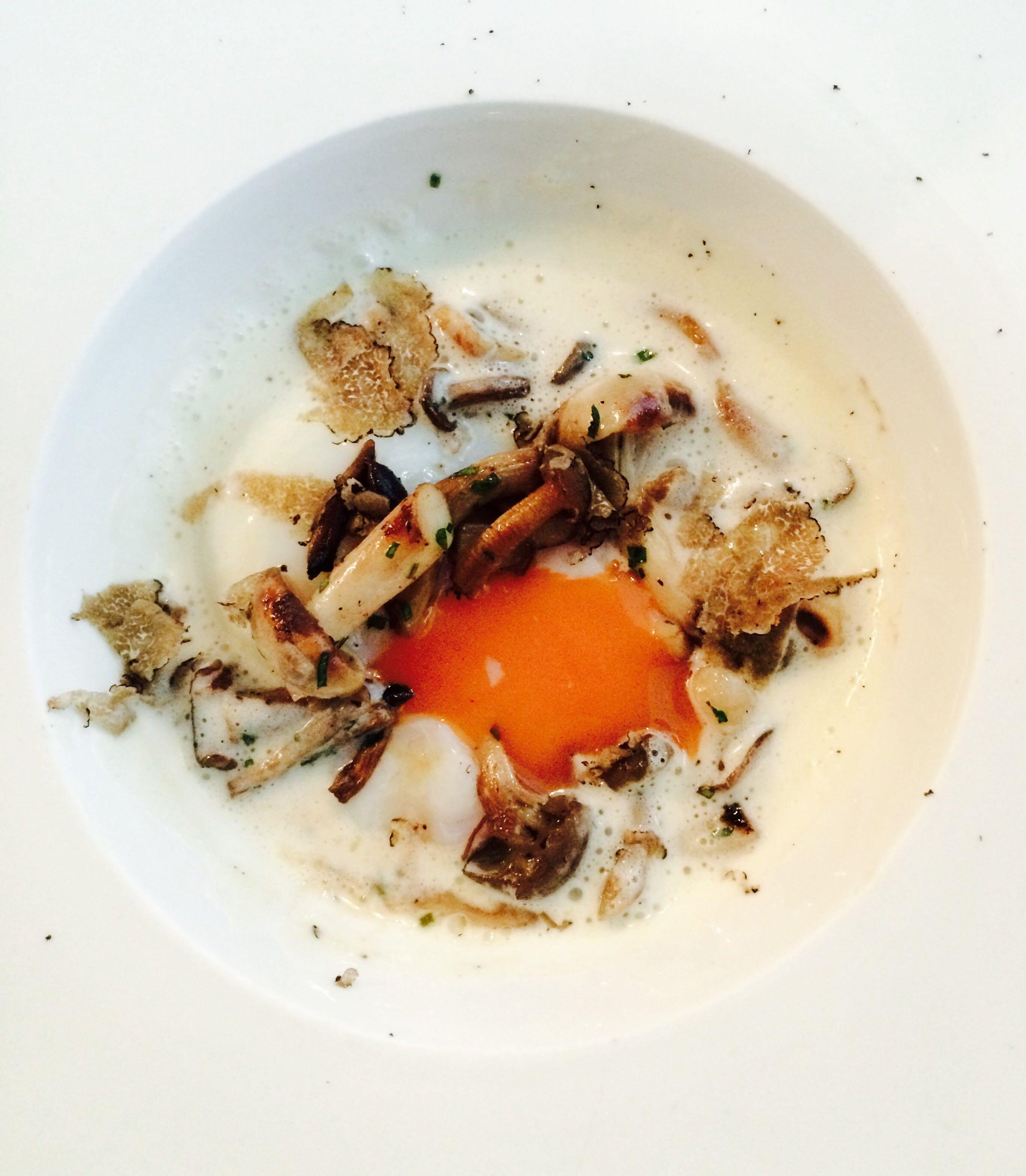 当你感到无比绝望的时候,是什么给了你希望\/力