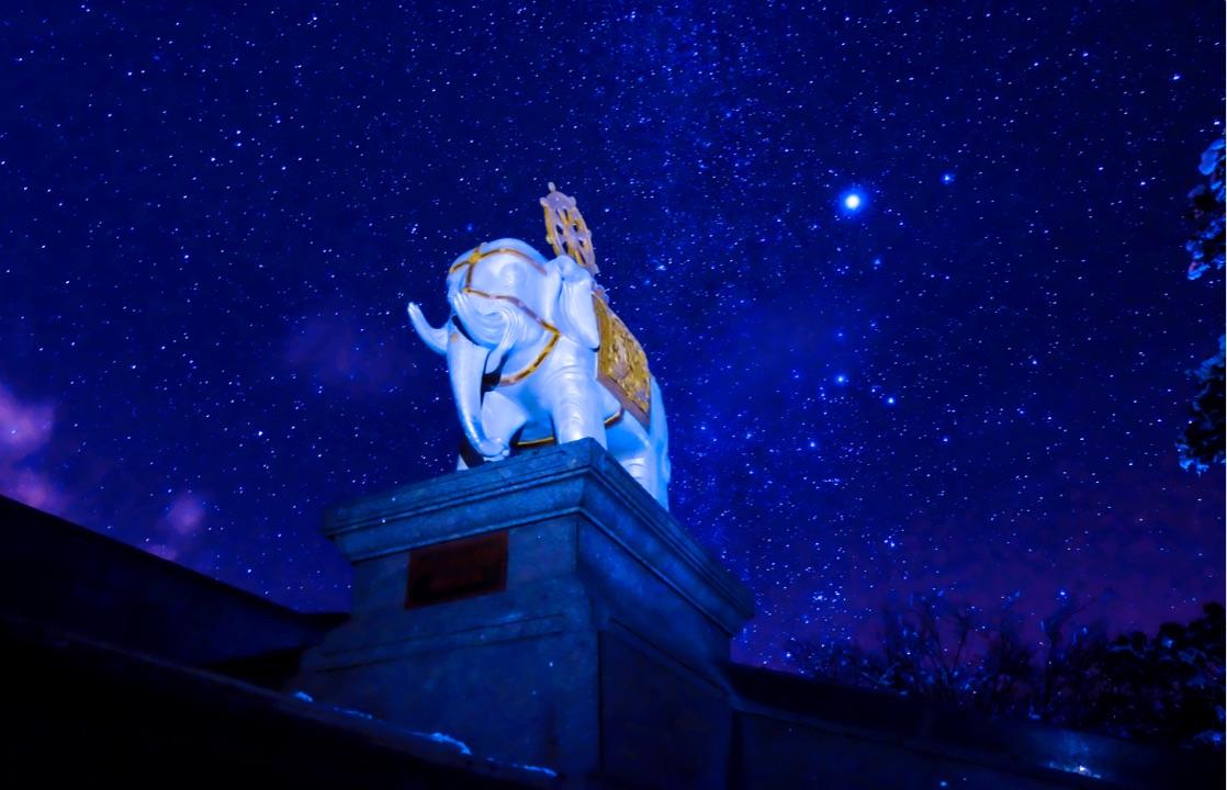 你用微单拍出过哪些你喜欢的照片? - 树上的男