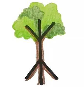 如何有效的教孩子早识字,早阅读?