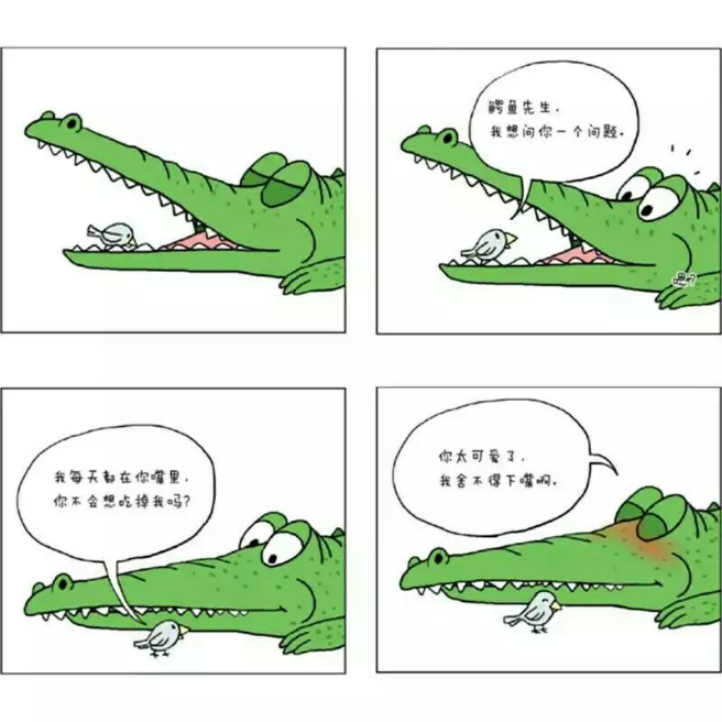 梦回惊魂，鳄鱼之梦的深层解析与心灵启示